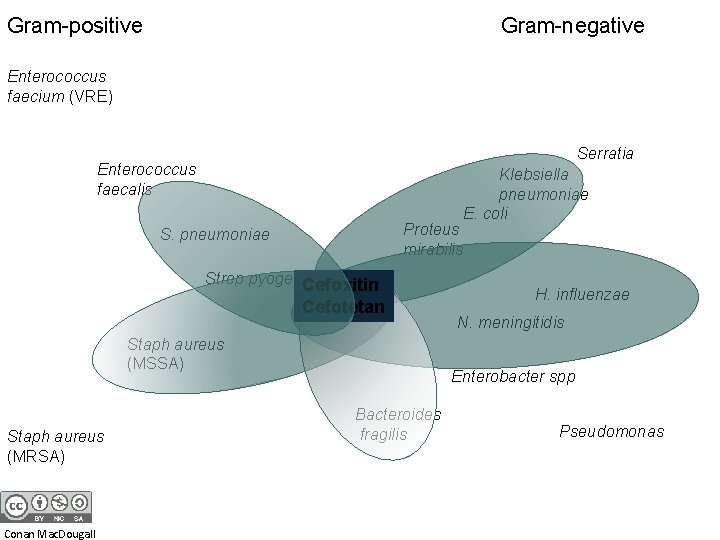 Gram-positive Gram-negative Enterococcus faecium (VRE) Serratia Enterococcus faecalis Proteus mirabilis S. pneumoniae Strep pyogenes
