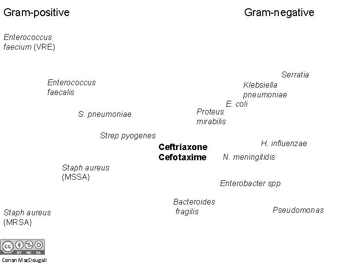 Gram-positive Gram-negative Enterococcus faecium (VRE) Serratia Enterococcus faecalis S. pneumoniae Proteus mirabilis Strep pyogenes