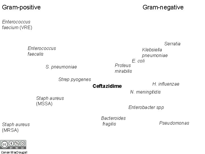 Gram-positive Gram-negative Enterococcus faecium (VRE) Serratia Enterococcus faecalis S. pneumoniae Proteus mirabilis Strep pyogenes