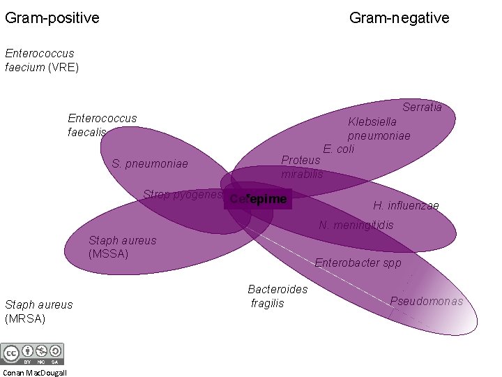 Gram-positive Gram-negative Enterococcus faecium (VRE) Serratia Enterococcus faecalis S. pneumoniae Proteus mirabilis Strep pyogenes