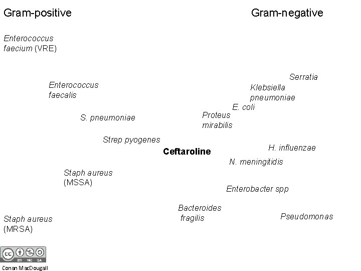 Gram-positive Gram-negative Enterococcus faecium (VRE) Serratia Enterococcus faecalis S. pneumoniae Proteus mirabilis Strep pyogenes