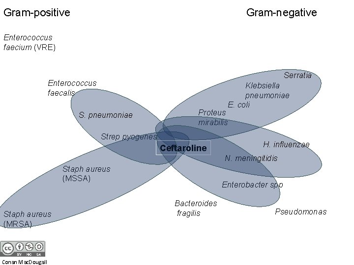 Gram-positive Gram-negative Enterococcus faecium (VRE) Serratia Enterococcus faecalis S. pneumoniae Proteus mirabilis Strep pyogenes