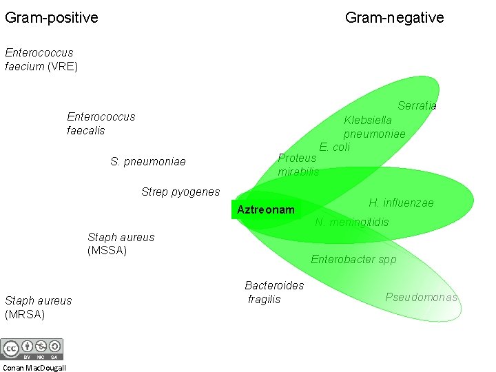 Gram-positive Gram-negative Enterococcus faecium (VRE) Serratia Enterococcus faecalis S. pneumoniae Proteus mirabilis Strep pyogenes