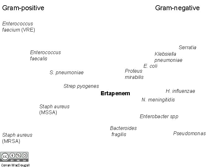 Gram-positive Gram-negative Enterococcus faecium (VRE) Serratia Enterococcus faecalis S. pneumoniae Proteus mirabilis Strep pyogenes