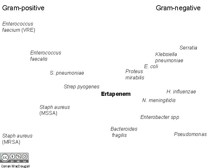 Gram-positive Gram-negative Enterococcus faecium (VRE) Serratia Enterococcus faecalis S. pneumoniae Proteus mirabilis Strep pyogenes