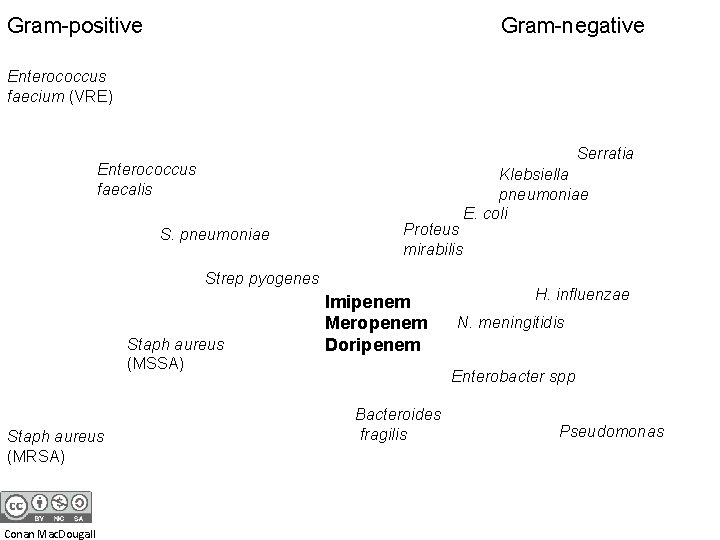 Gram-positive Gram-negative Enterococcus faecium (VRE) Serratia Enterococcus faecalis S. pneumoniae Proteus mirabilis Strep pyogenes