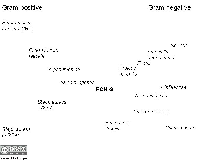 Gram-positive Gram-negative Enterococcus faecium (VRE) Serratia Enterococcus faecalis Proteus mirabilis S. pneumoniae Strep pyogenes