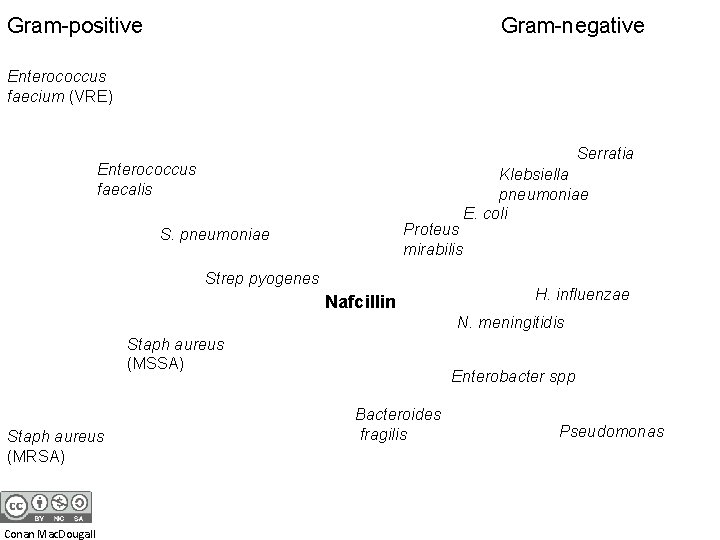 Gram-positive Gram-negative Enterococcus faecium (VRE) Serratia Enterococcus faecalis Proteus mirabilis S. pneumoniae Strep pyogenes