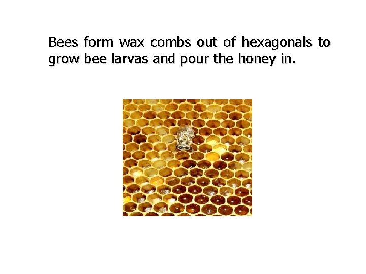 Bees form wax combs out of hexagonals to grow bee larvas and pour the