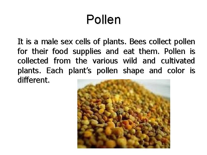 Pollen It is a male sex cells of plants. Bees collect pollen for their