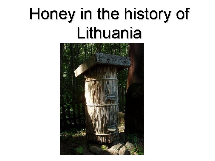 Honey in the history of Lithuania 