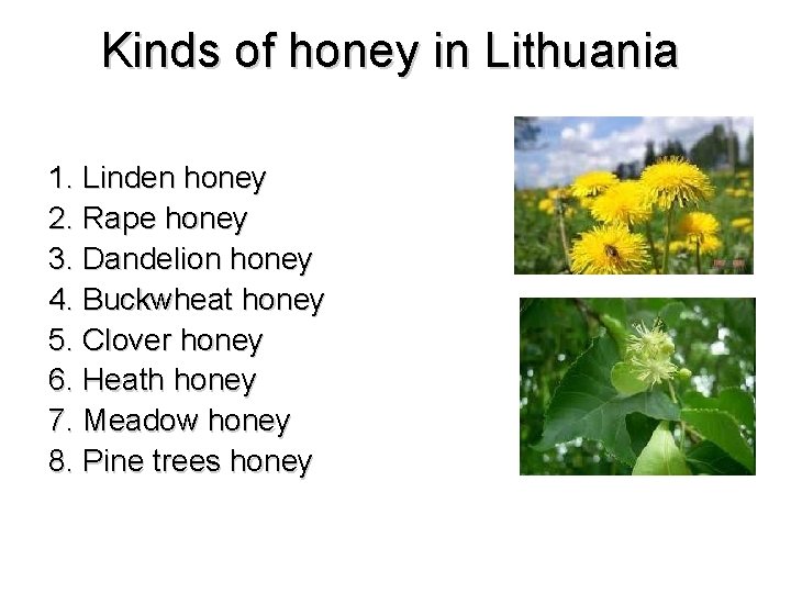 Kinds of honey in Lithuania 1. Linden honey 2. Rape honey 3. Dandelion honey