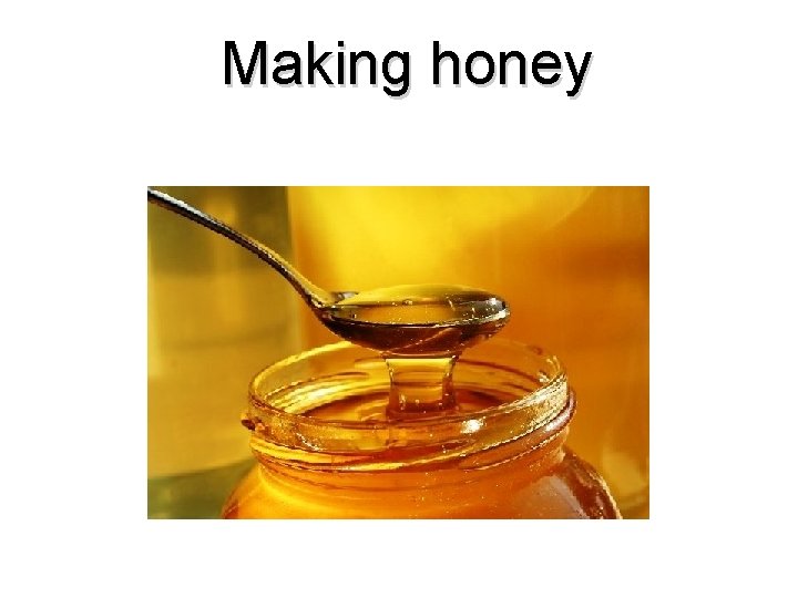 Making honey 