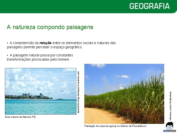 A natureza compondo paisagens • A compreensão da relação entre os elementos sociais e