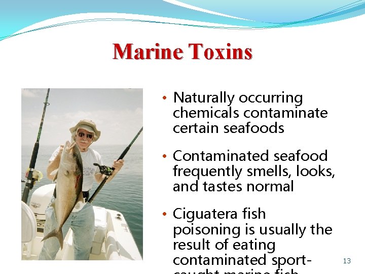 Marine Toxins • Naturally occurring chemicals contaminate certain seafoods • Contaminated seafood frequently smells,