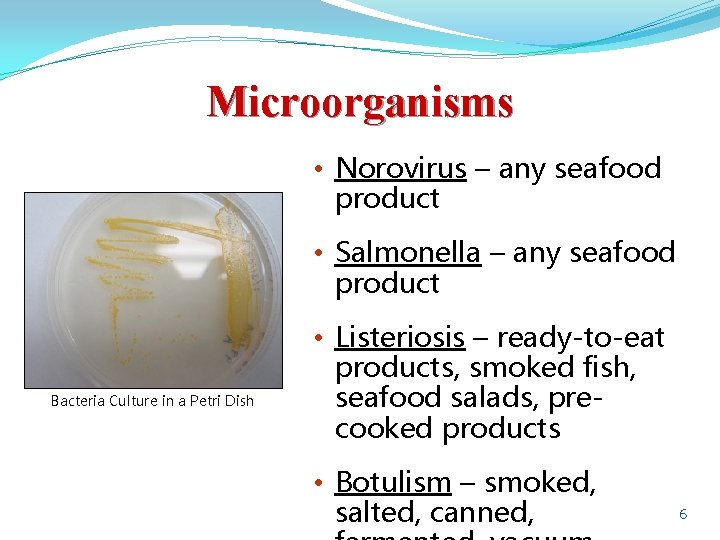 Microorganisms • Norovirus – any seafood product • Salmonella – any seafood product Bacteria