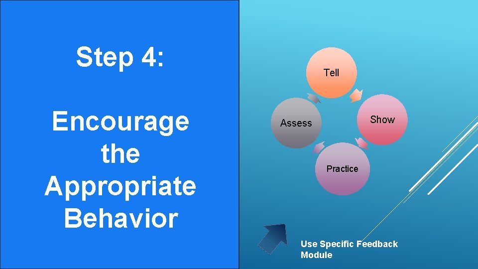 Step 4: Encourage the Appropriate Behavior Tell Show Assess Practice Use Specific Feedback Module