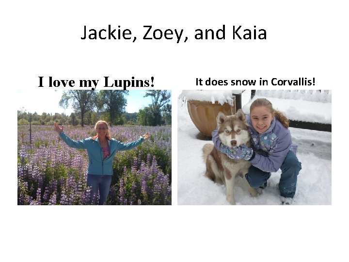 Jackie, Zoey, and Kaia I love my Lupins! It does snow in Corvallis! 