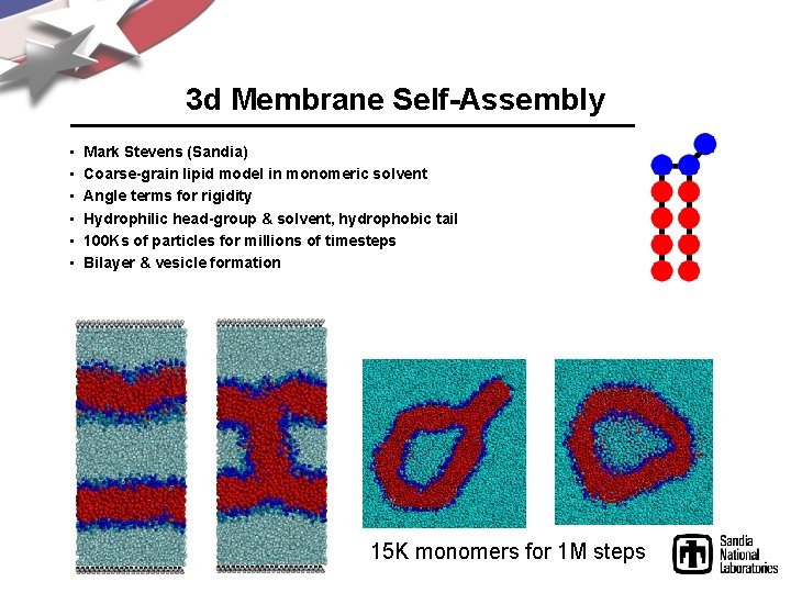 3 d Membrane Self-Assembly • • • Mark Stevens (Sandia) Coarse-grain lipid model in
