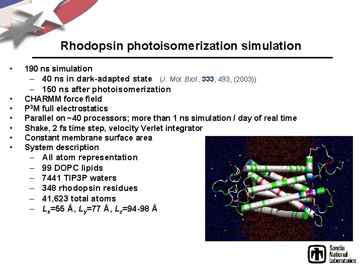 Rhodopsin photoisomerization simulation • 190 ns simulation – 40 ns in dark-adapted state (J.