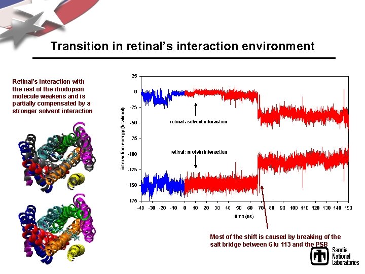 Transition in retinal’s interaction environment Retinal’s interaction with the rest of the rhodopsin molecule