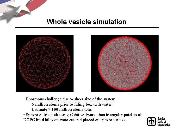 Whole vesicle simulation • Enormous challenge due to sheer size of the system 5