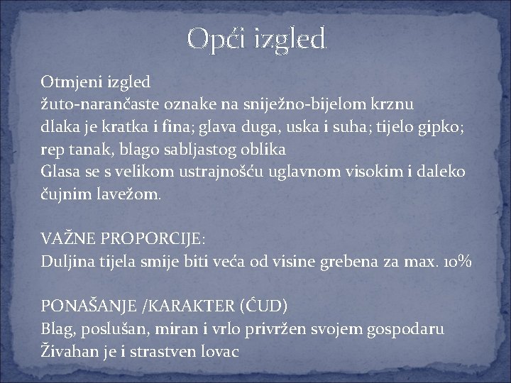 Opći izgled Otmjeni izgled žuto-narančaste oznake na sniježno-bijelom krznu dlaka je kratka i fina;