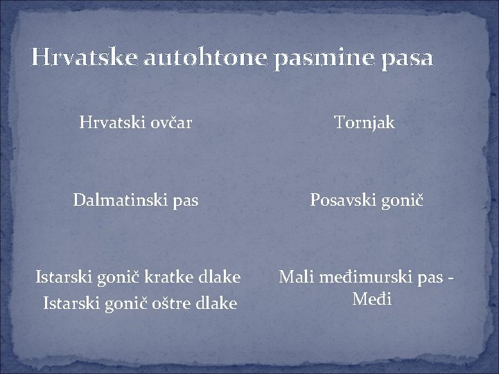 Hrvatske autohtone pasmine pasa Hrvatski ovčar Tornjak Dalmatinski pas Posavski gonič Istarski gonič kratke