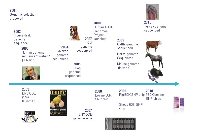 2001 Genomic selection proposed 2002 Mouse draft genome sequence 2004 2003 Chicken Human genome