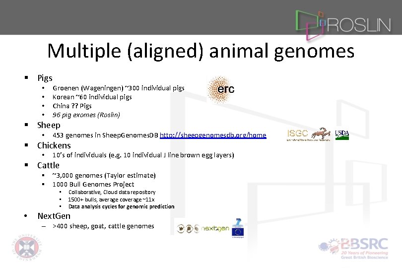 Multiple (aligned) animal genomes § Pigs • • Groenen (Wageningen) ~300 individual pigs Korean