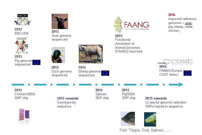 2012 ENCODE 2012 Pig genome sequenced 2012 Chicken 600 K SNP chip 2016 Improved
