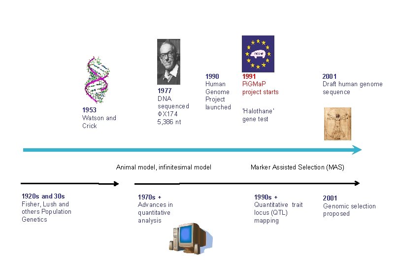 1953 Watson and Crick 1977 DNA sequenced ΦX 174 5, 386 nt 1990 Human
