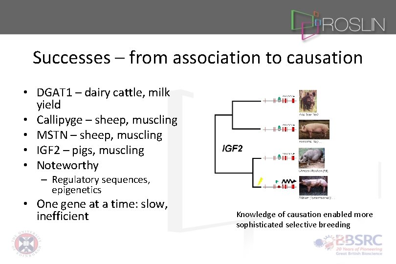 Successes – from association to causation • DGAT 1 – dairy cattle, milk yield