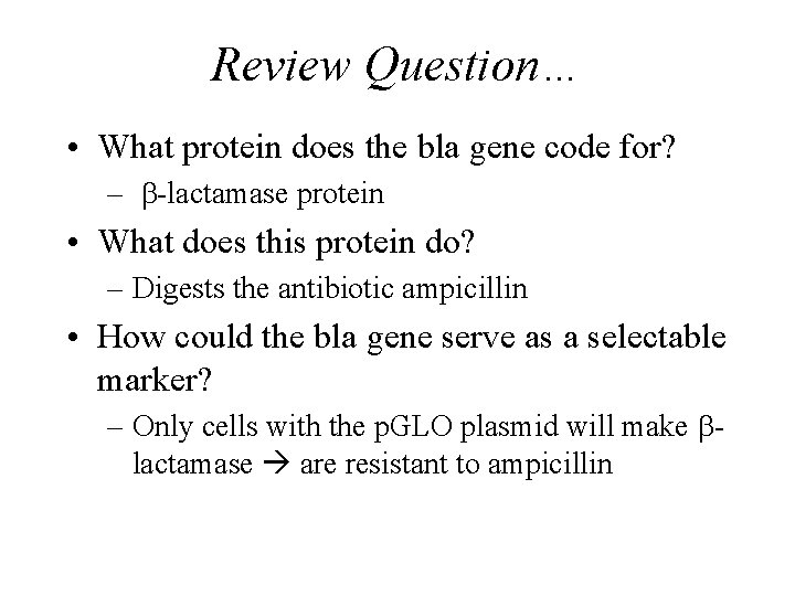 Review Question… • What protein does the bla gene code for? – b-lactamase protein