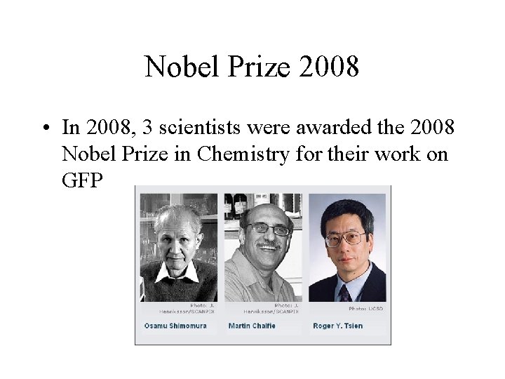 Nobel Prize 2008 • In 2008, 3 scientists were awarded the 2008 Nobel Prize