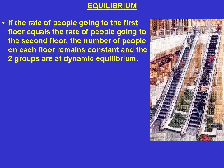 EQUILIBRIUM • If the rate of people going to the first floor equals the