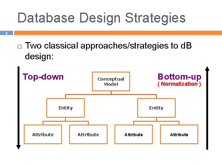 Database Design Strategies 4 Two classical approaches/strategies to d. B design: Top-down Bottom-up Conceptual