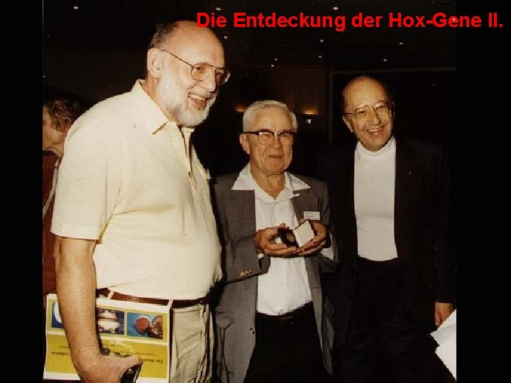 Die Entdeckung der Hox-Gene II. 