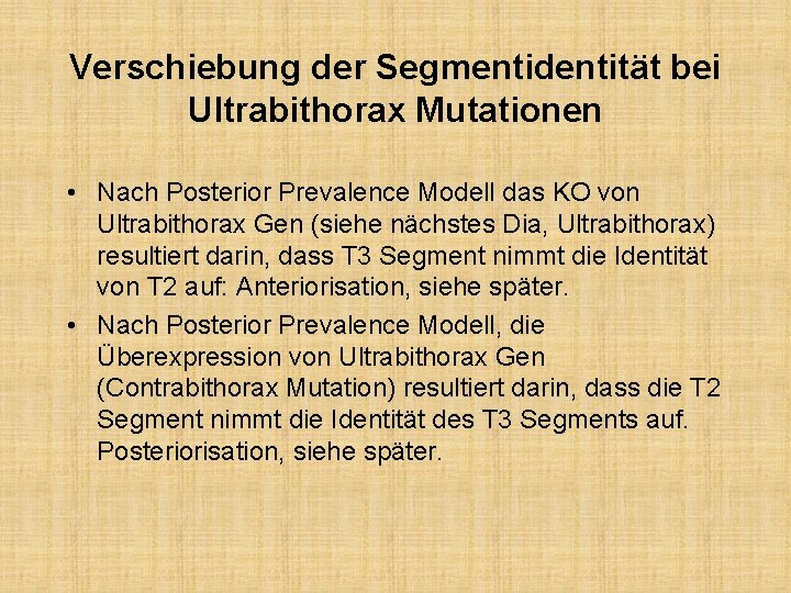 Verschiebung der Segmentidentität bei Ultrabithorax Mutationen • Nach Posterior Prevalence Modell das KO von