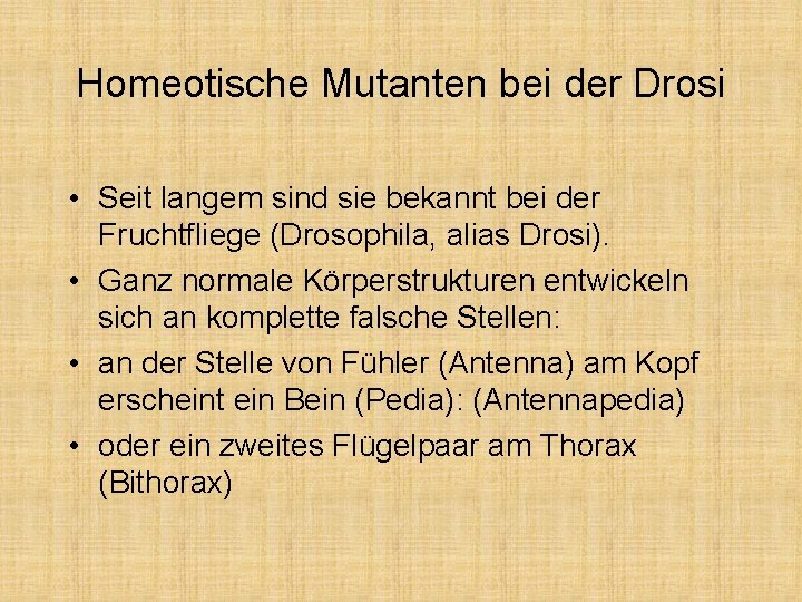 Homeotische Mutanten bei der Drosi • Seit langem sind sie bekannt bei der Fruchtfliege