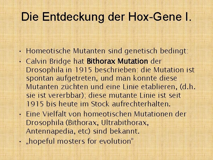 Die Entdeckung der Hox-Gene I. • Homeotische Mutanten sind genetisch bedingt: • Calvin Bridge