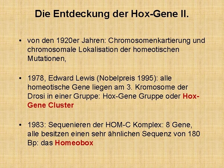 Die Entdeckung der Hox-Gene II. • von den 1920 er Jahren: Chromosomenkartierung und chromosomale