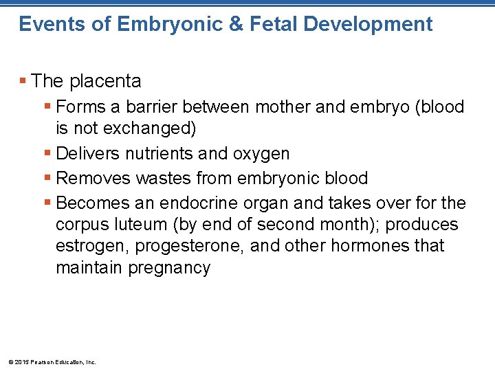 Events of Embryonic & Fetal Development § The placenta § Forms a barrier between