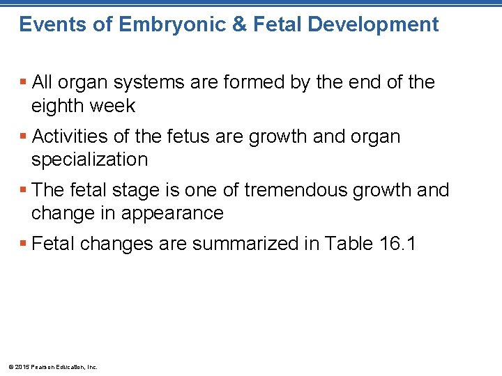 Events of Embryonic & Fetal Development § All organ systems are formed by the