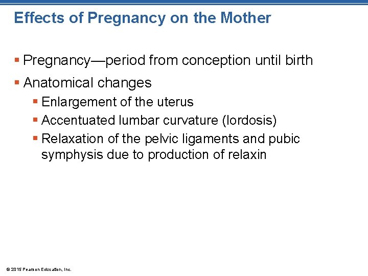 Effects of Pregnancy on the Mother § Pregnancy—period from conception until birth § Anatomical