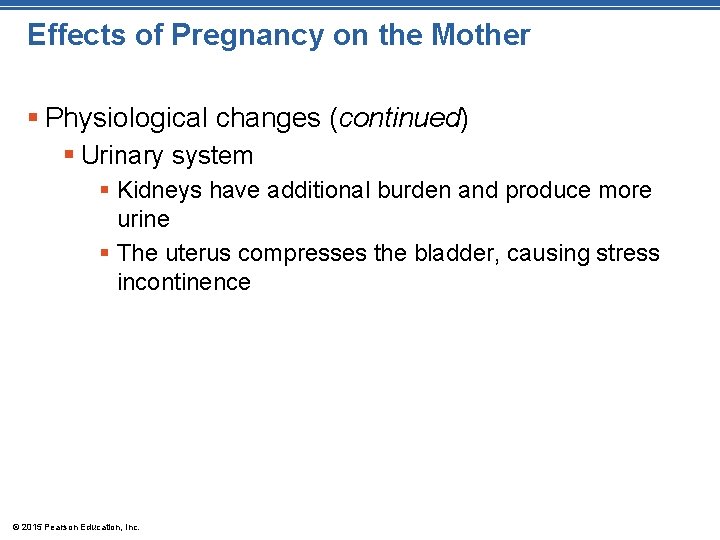 Effects of Pregnancy on the Mother § Physiological changes (continued) § Urinary system §