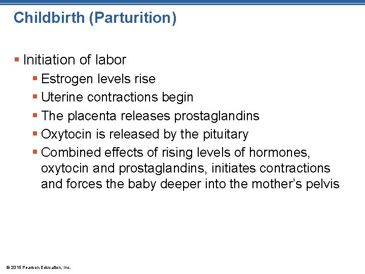 Childbirth (Parturition) § Initiation of labor § Estrogen levels rise § Uterine contractions begin