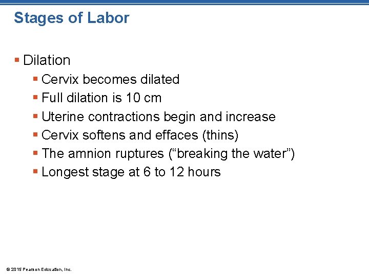 Stages of Labor § Dilation § Cervix becomes dilated § Full dilation is 10