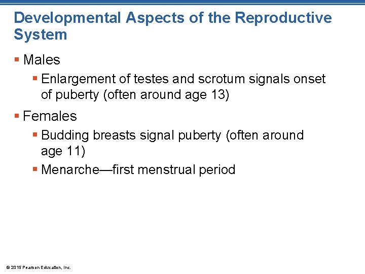 Developmental Aspects of the Reproductive System § Males § Enlargement of testes and scrotum