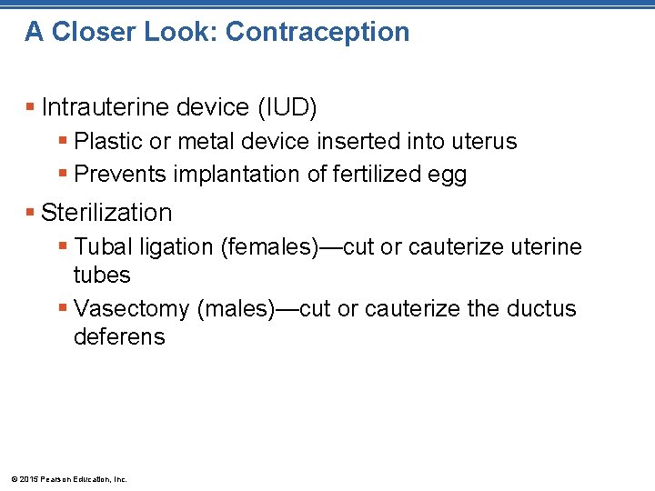 A Closer Look: Contraception § Intrauterine device (IUD) § Plastic or metal device inserted